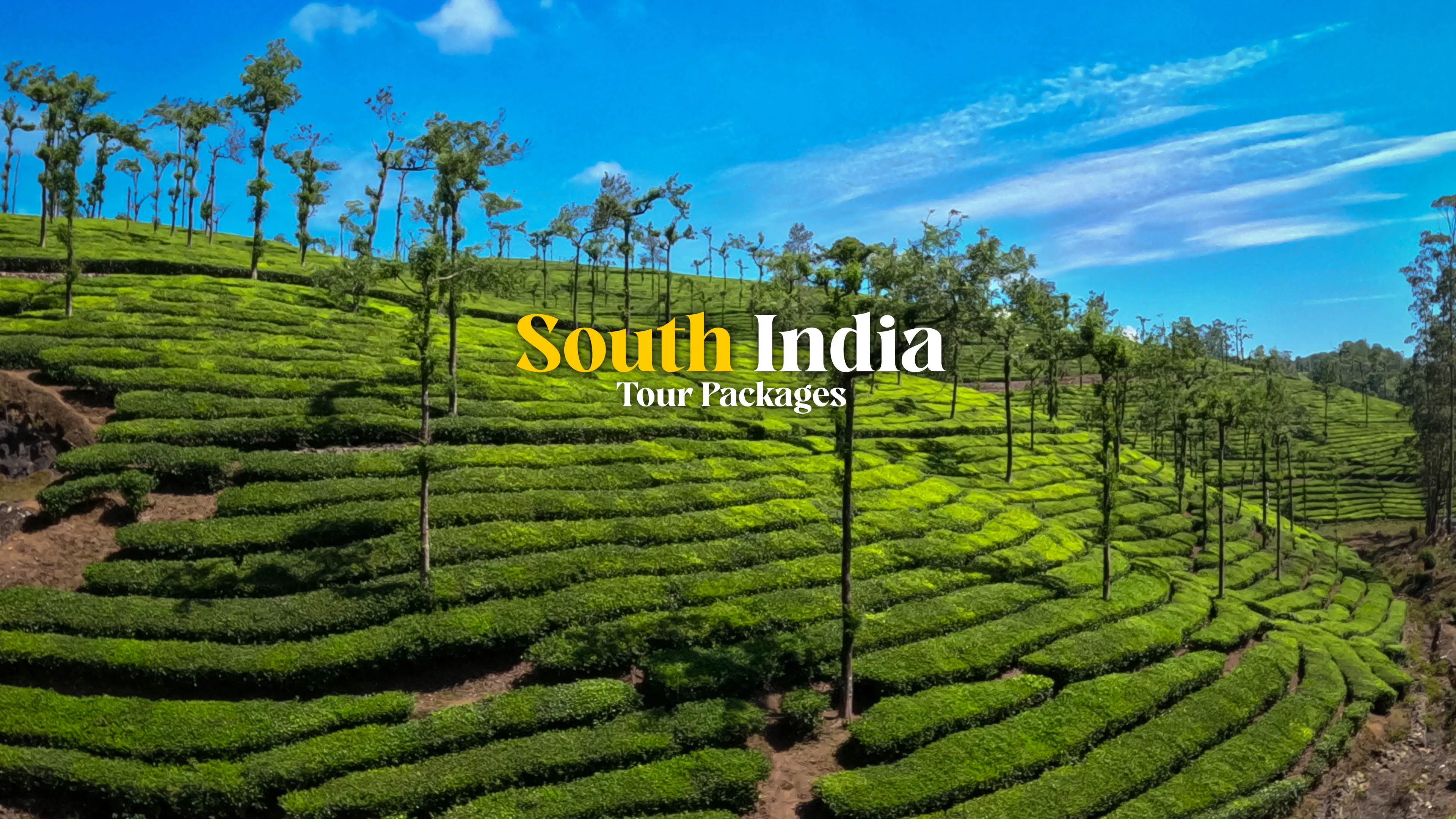 South India Tour Packages