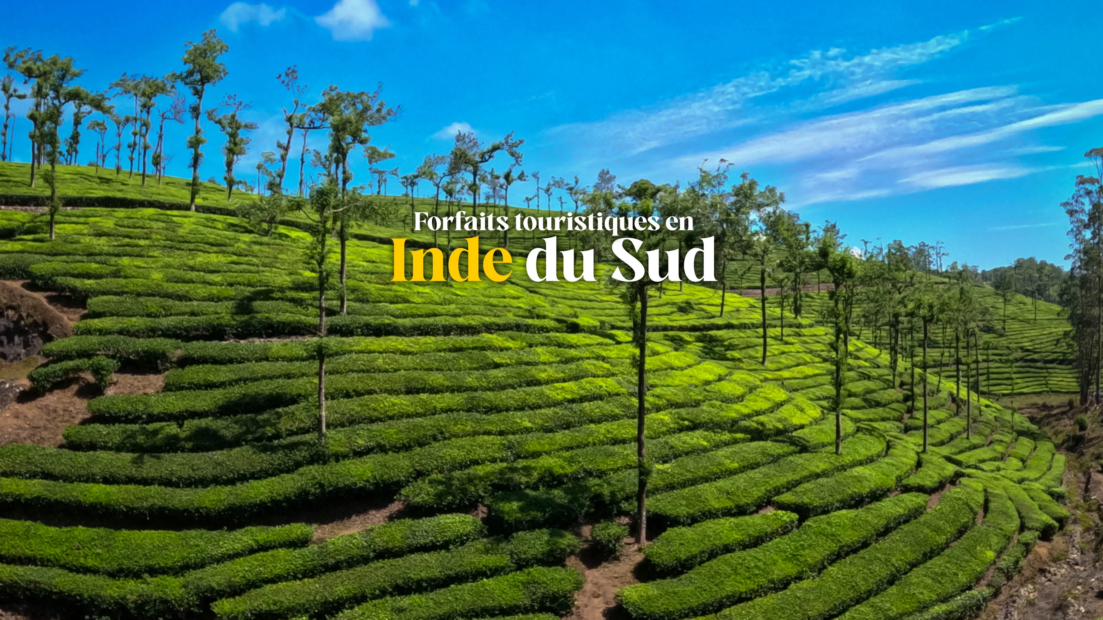 Forfaits touristiques en Inde du Sud