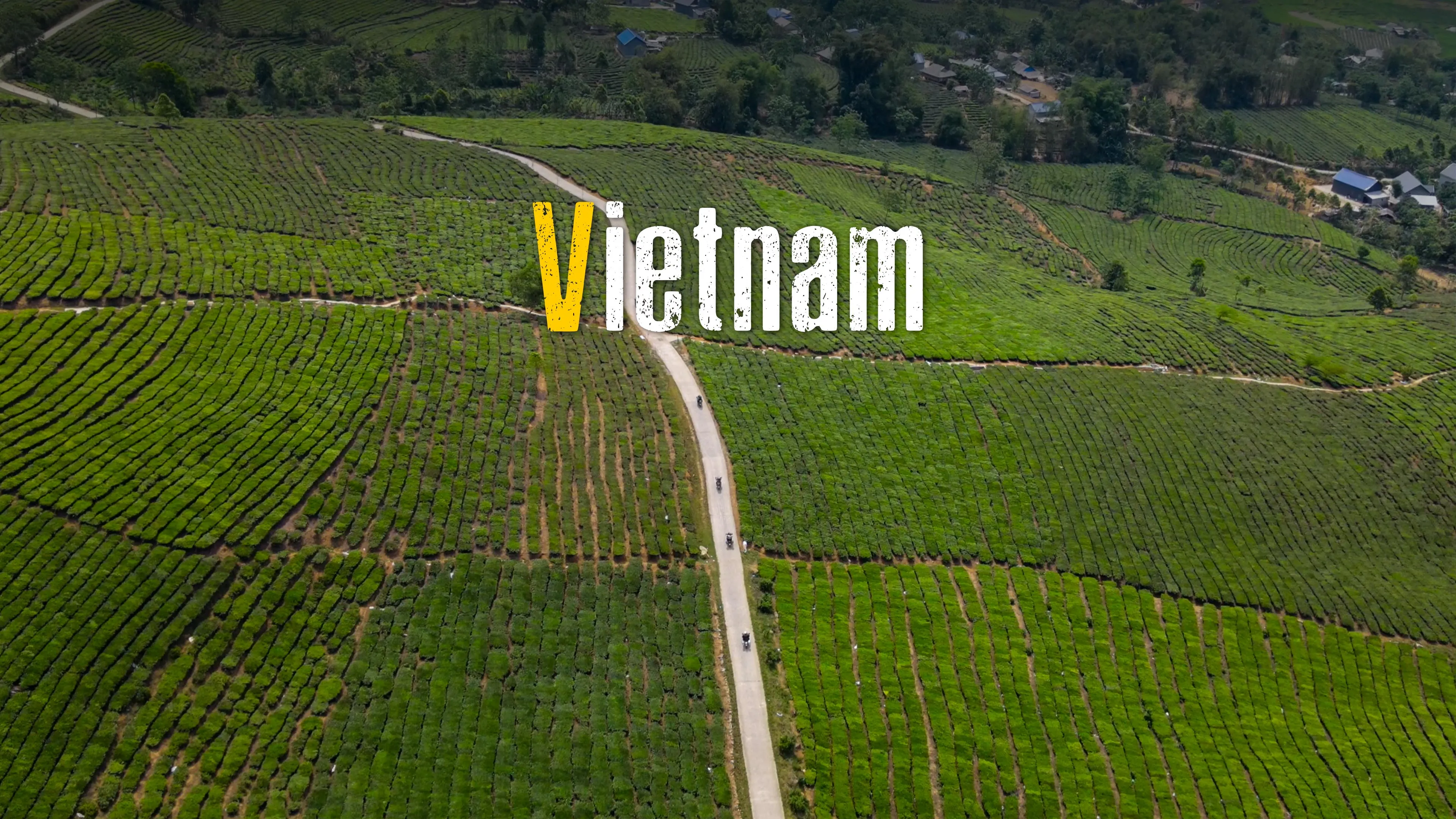 Aktivitäten in Vietnam