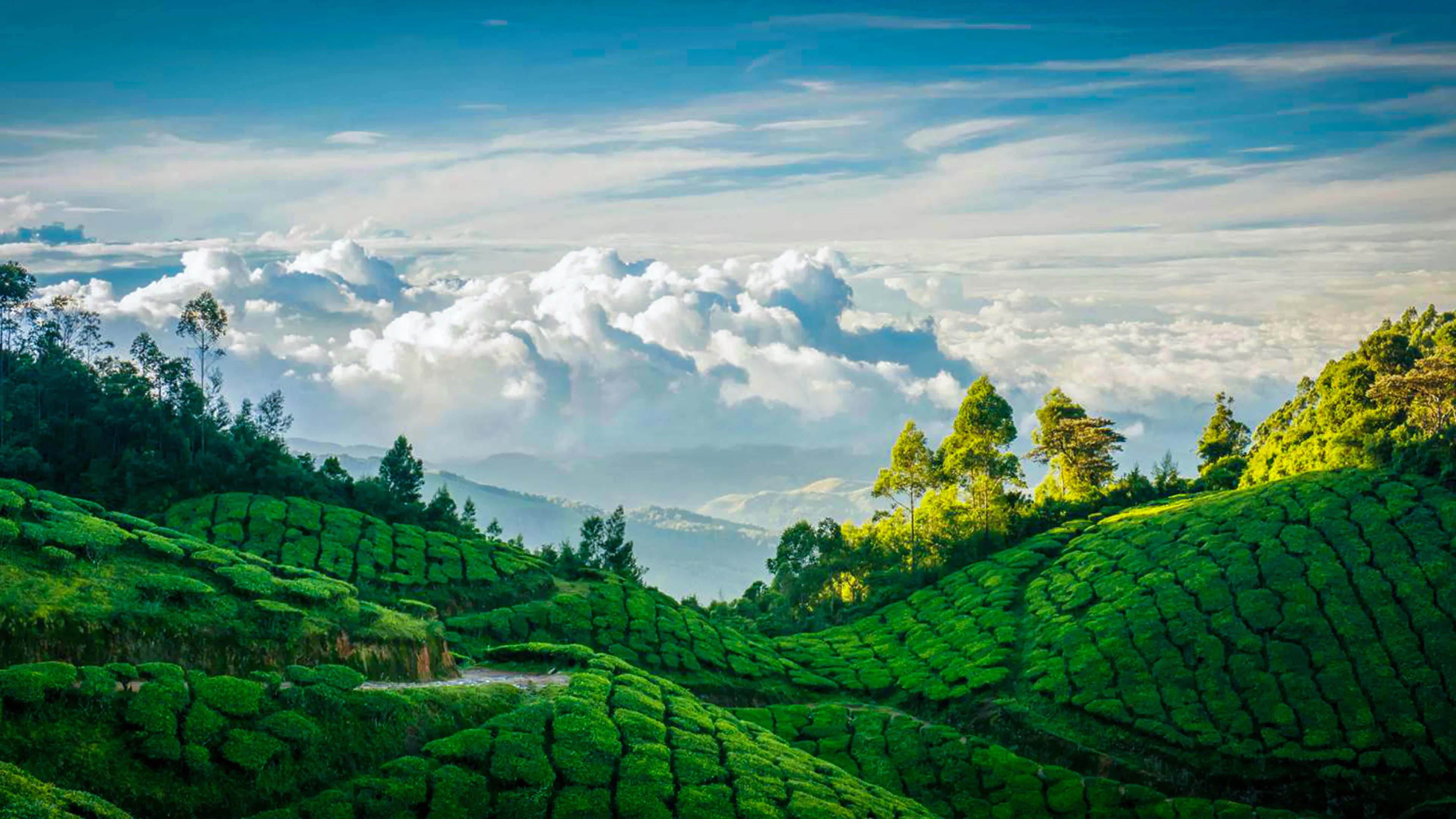 South India: The Coast Adventure