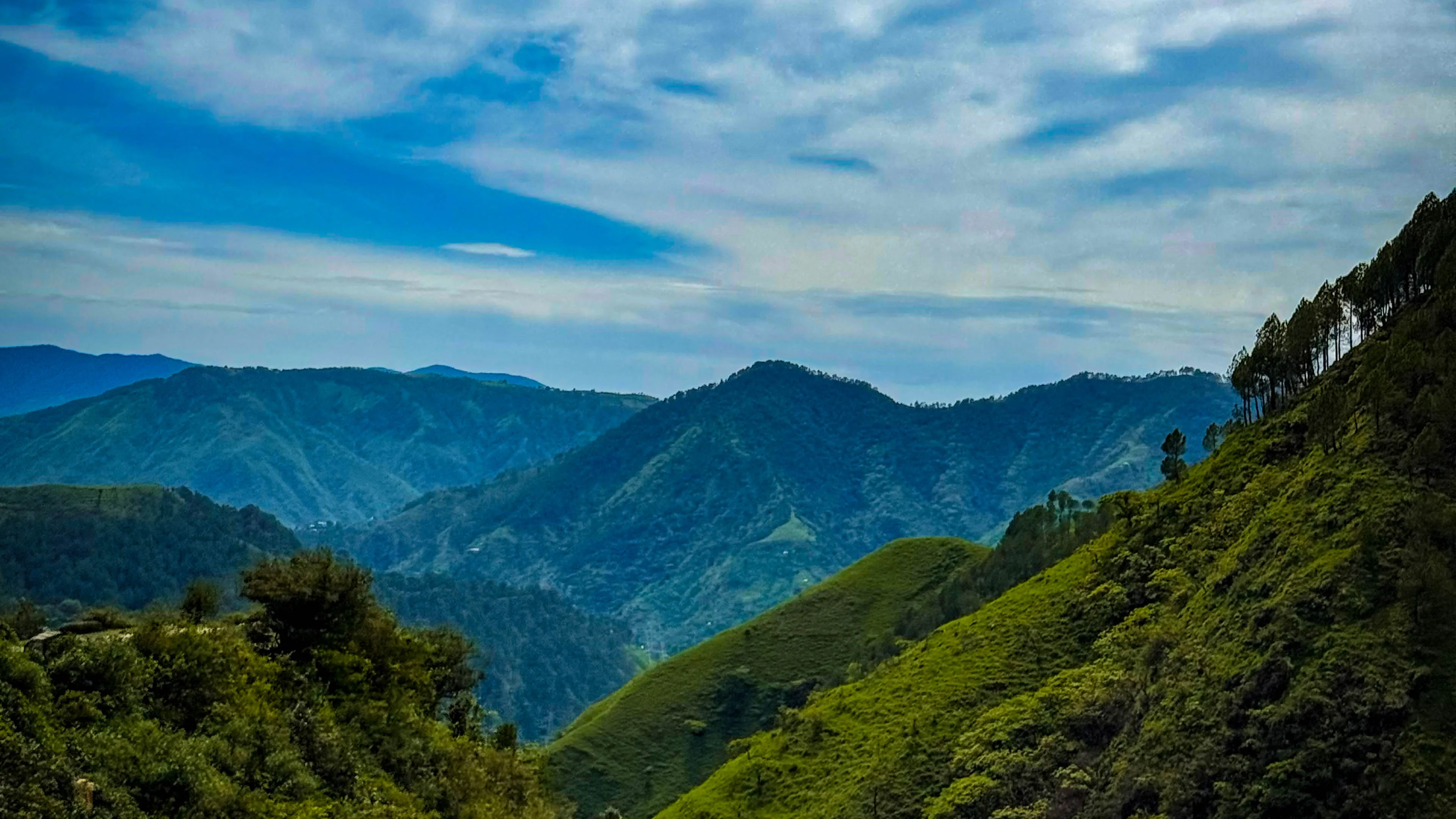 Pangi-Tal