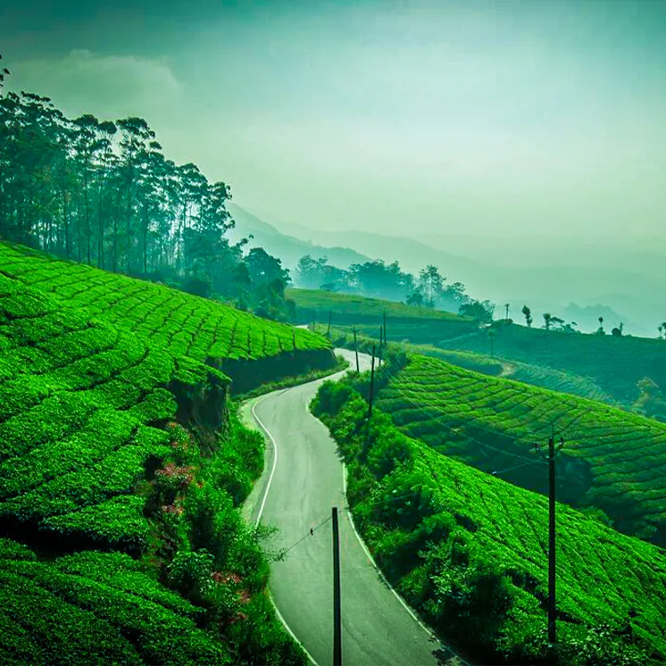 South India: The Coast Adventure