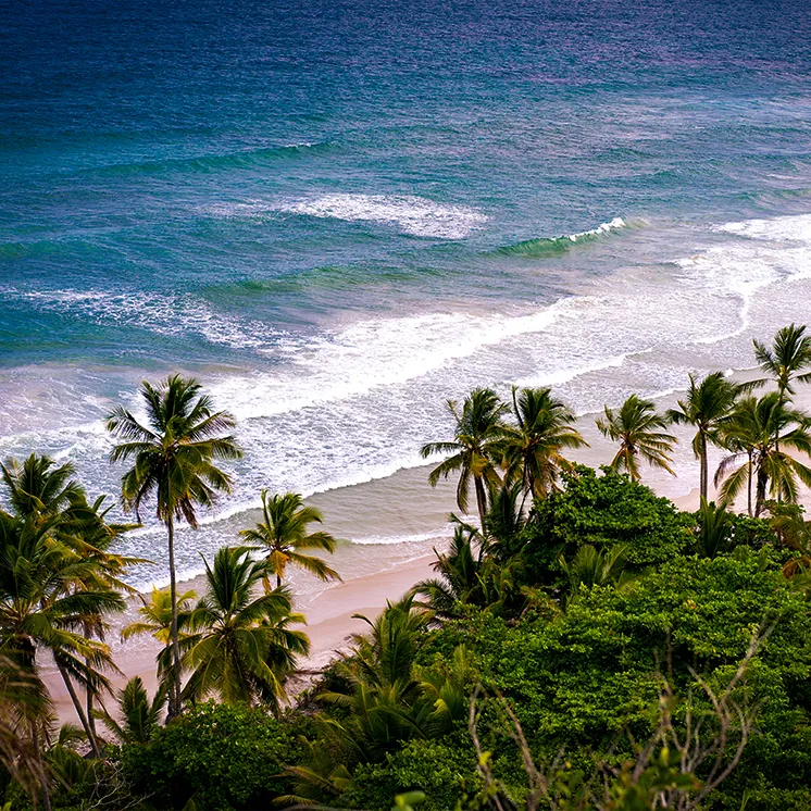 South India: The Coast Moto Escape